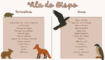 Um tesouro natural no coração do Algarve: Biodiversidade de Vila do Bispo 