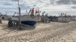 Raízes do Mar